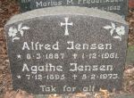 Alfred Jensen.jpg